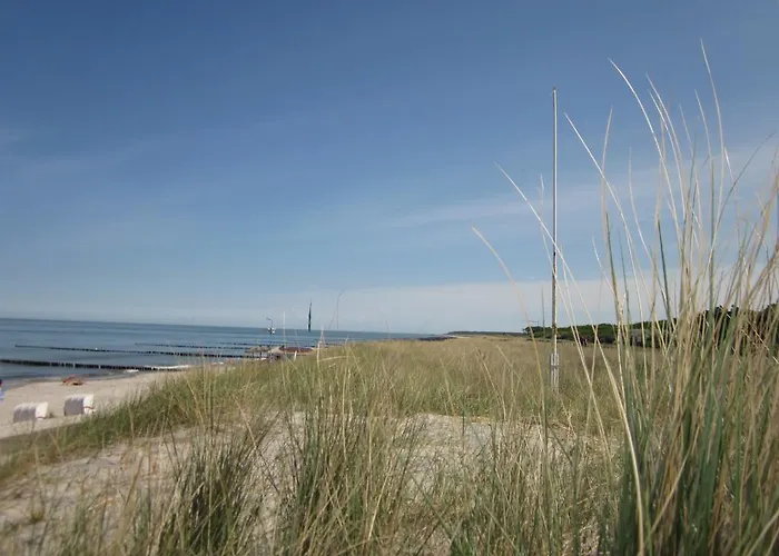 Dünenhotel Am Rostock